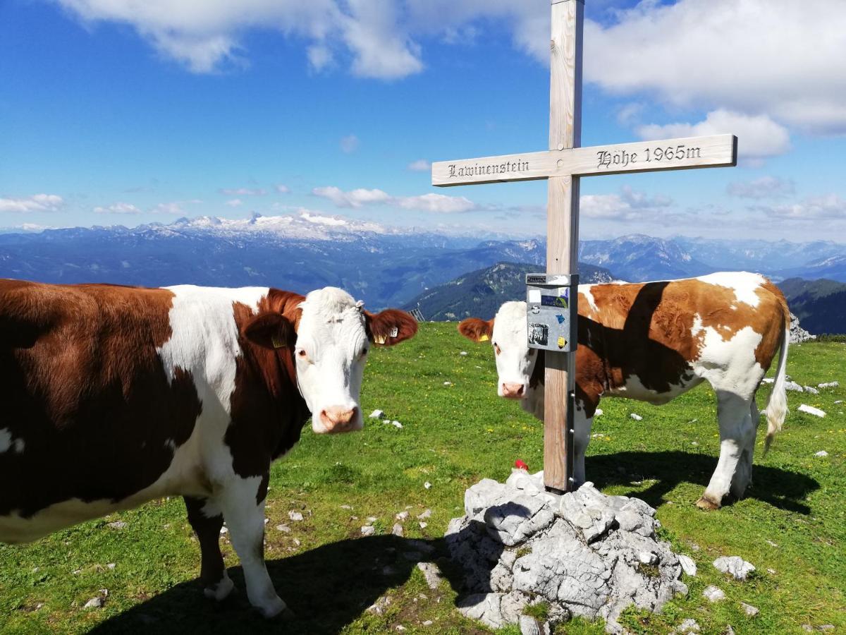 Ferienwohnung Fuchs Bad Mitterndorf Exteriér fotografie